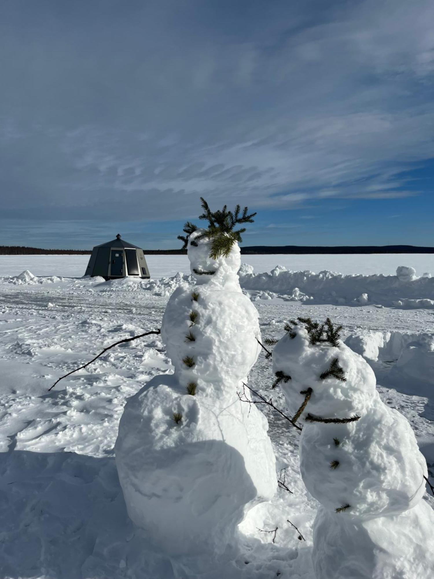 Vikajaervi Lake View Experience Igloos Rovaniemi Exterior photo